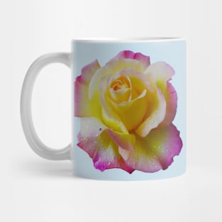 Pretty Yellow and Pink Rose Mug